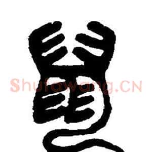 鼠