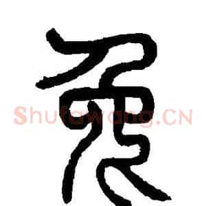 兔