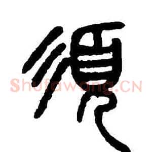 須