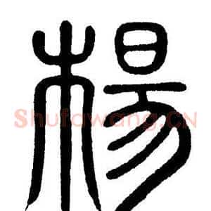杨