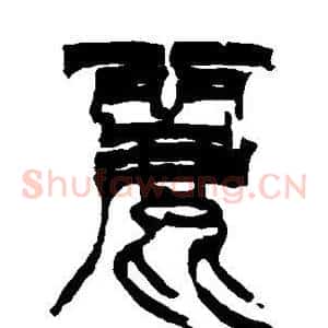 丽