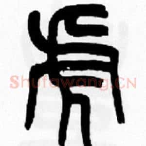 虎