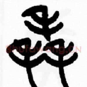 毳