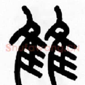 雔