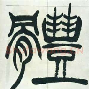 體