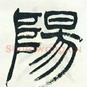 陽