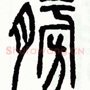 膀