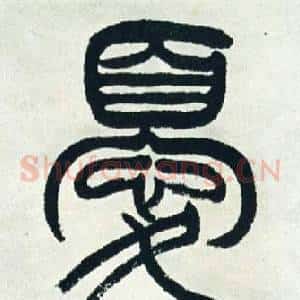 優