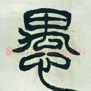 愚