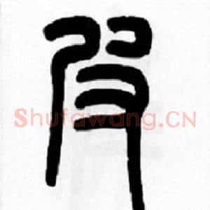 皮