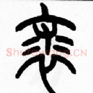 裘