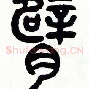 臂