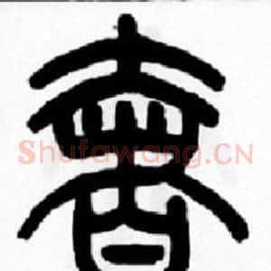 奢
