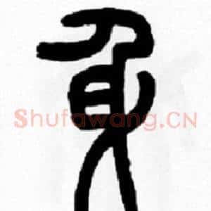 身