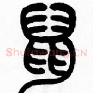 鼠