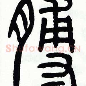 膊