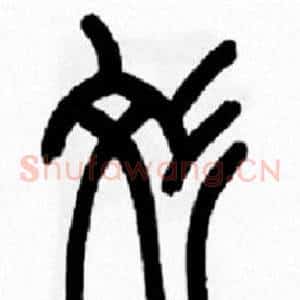 纹