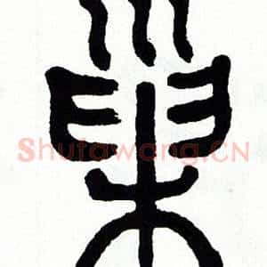 巢
