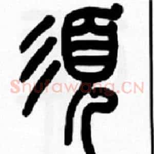 須