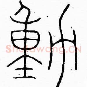 動