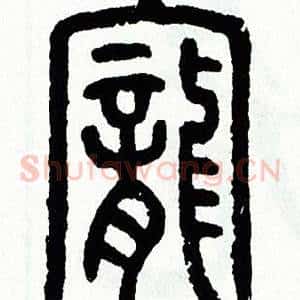 寵