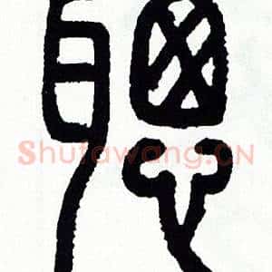 聰