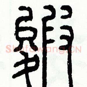 皴