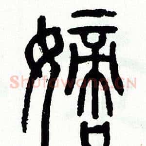 嫡