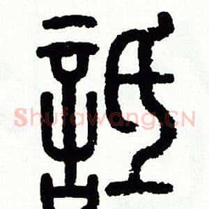 詆