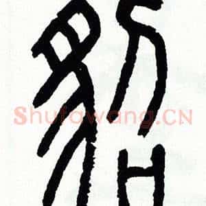 貂