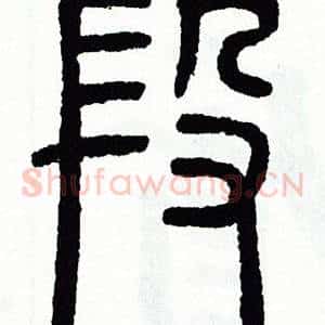 段