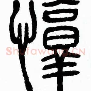 惇