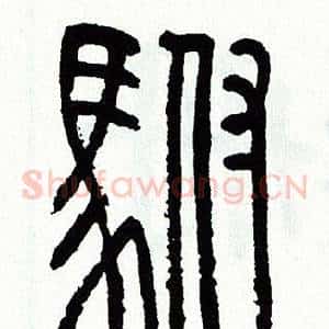 駙