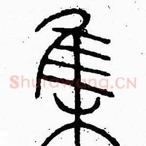 集