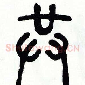 共
