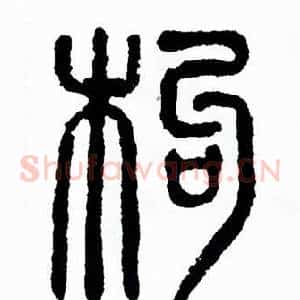 枸