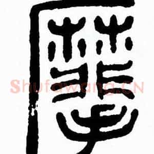 麾