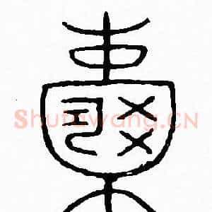 囊