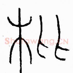 枇