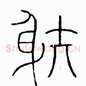 射