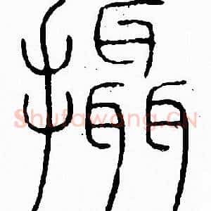 攝