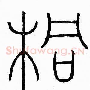桐