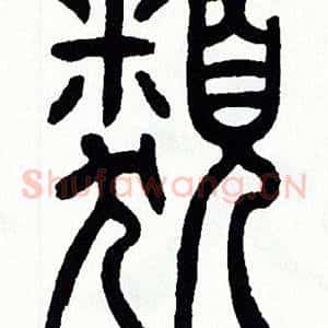 類