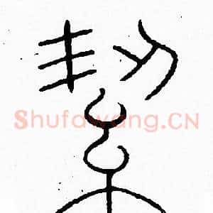 絜