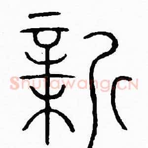 新