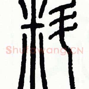 料