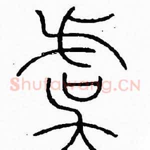 虞