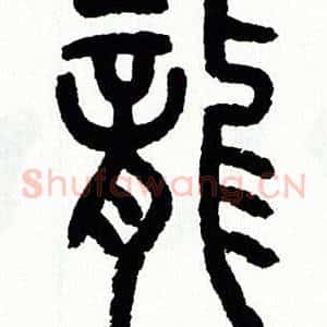 龍