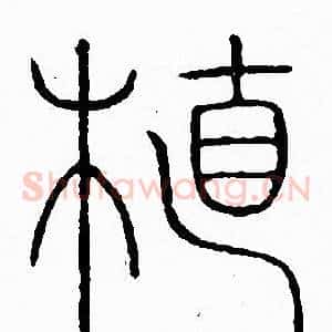 植