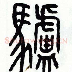 驢